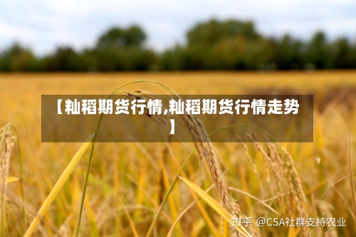 【籼稻期货行情,籼稻期货行情走势】-第1张图片