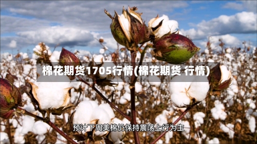 棉花期货1705行情(棉花期货 行情)