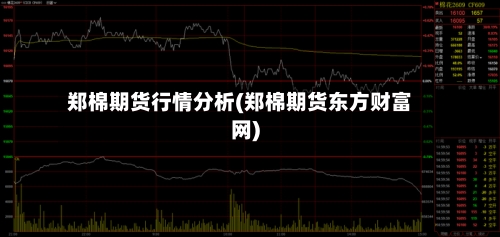 郑棉期货行情分析(郑棉期货东方财富网)