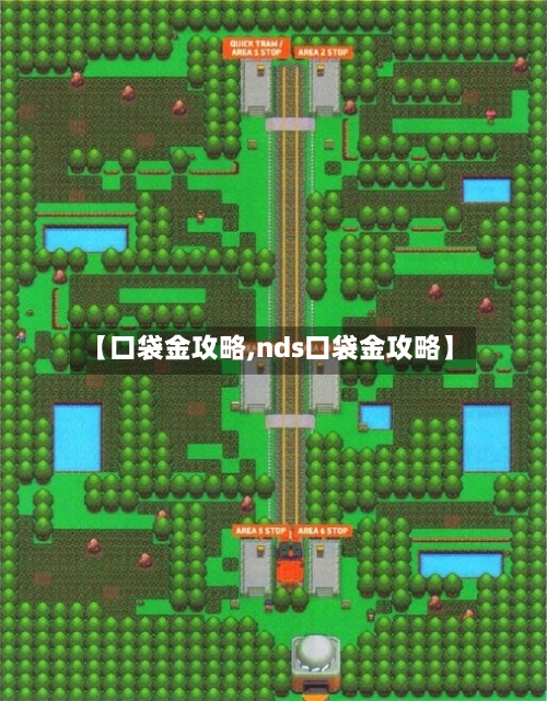 【口袋金攻略,nds口袋金攻略】-第1张图片
