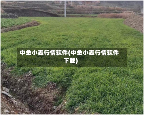 中金小麦行情软件(中金小麦行情软件下载)-第1张图片