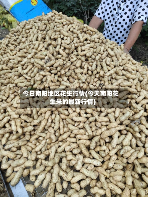 今日南阳地区花生行情(今天南阳花生米的最新行情)-第1张图片