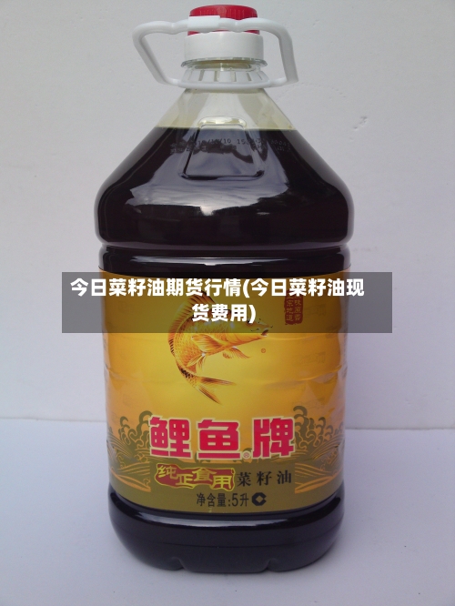 今日菜籽油期货行情(今日菜籽油现货费用)-第1张图片