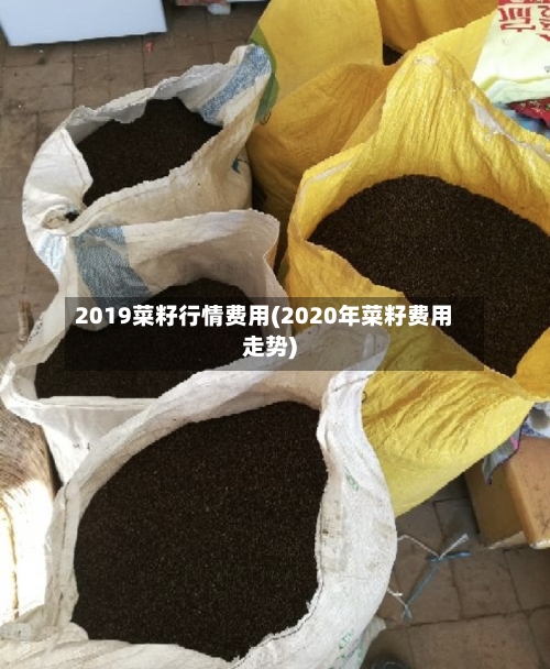 2019菜籽行情费用(2020年菜籽费用走势)