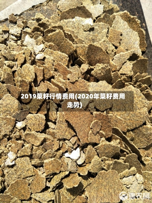 2019菜籽行情费用(2020年菜籽费用走势)-第2张图片