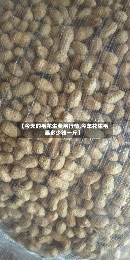 【今天的毛花生费用行情,今年花生毛果多少钱一斤】-第1张图片