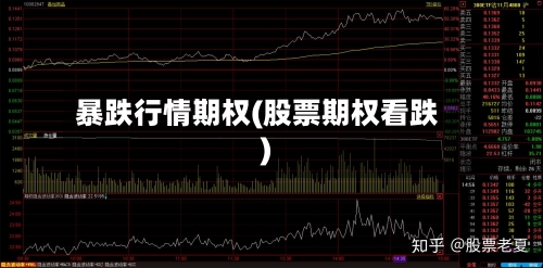 暴跌行情期权(股票期权看跌)-第1张图片