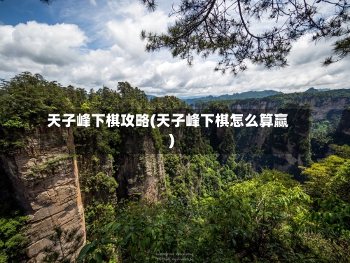 天子峰下棋攻略(天子峰下棋怎么算赢)-第1张图片