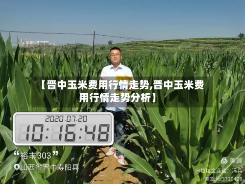 【晋中玉米费用行情走势,晋中玉米费用行情走势分析】-第1张图片