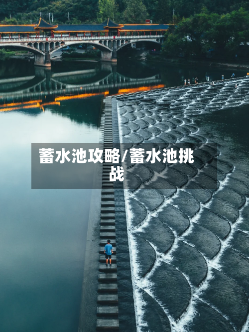 蓄水池攻略/蓄水池挑战-第1张图片