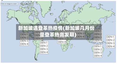 新加坡遇登革热疫情(新加坡几月份是登革热高发期)-第1张图片