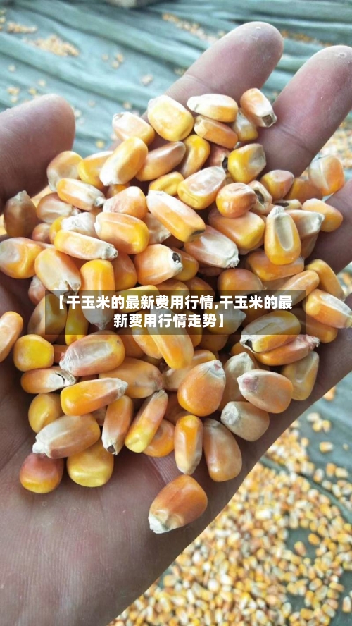 【干玉米的最新费用行情,干玉米的最新费用行情走势】