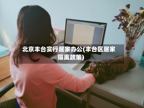 北京丰台实行居家办公(丰台区居家隔离政策)