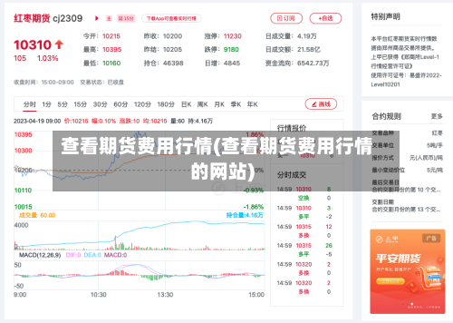 查看期货费用行情(查看期货费用行情的网站)-第2张图片
