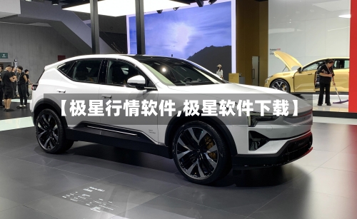 【极星行情软件,极星软件下载】