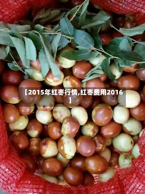 【2015年红枣行情,红枣费用2016】-第2张图片