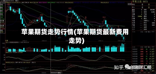 苹果期货走势行情(苹果期货最新费用走势)-第2张图片