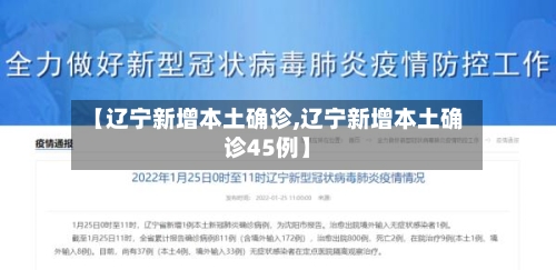 【辽宁新增本土确诊,辽宁新增本土确诊45例】-第2张图片