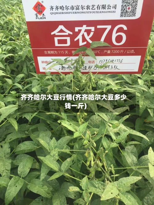 齐齐哈尔大豆行情(齐齐哈尔大豆多少钱一斤)-第1张图片