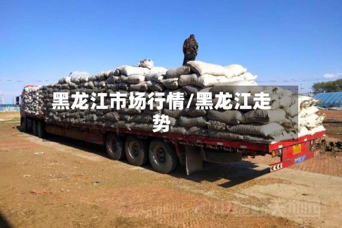黑龙江市场行情/黑龙江走势-第3张图片