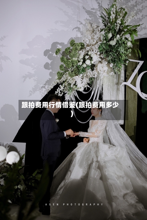 跟拍费用行情借鉴(跟拍费用多少)-第3张图片