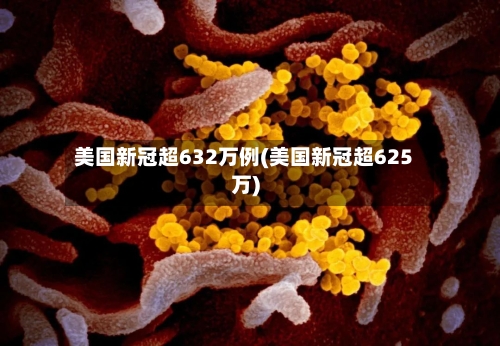 美国新冠超632万例(美国新冠超625万)