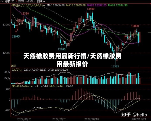 天然橡胶费用最新行情/天然橡胶费用最新报价-第3张图片