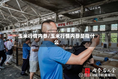玉米行情内参/玉米行情内参是指什么