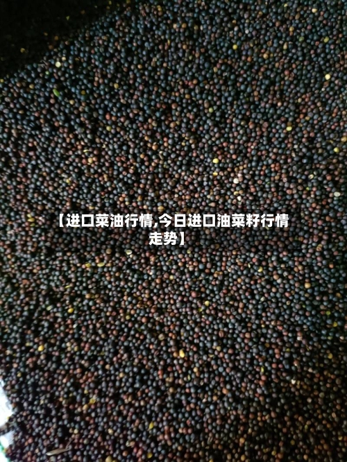 【进口菜油行情,今日进口油菜籽行情走势】-第2张图片