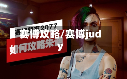 赛博攻略/赛博judy
