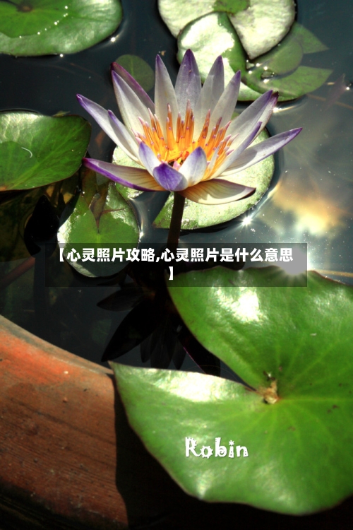 【心灵照片攻略,心灵照片是什么意思】