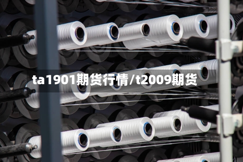 ta1901期货行情/t2009期货-第2张图片