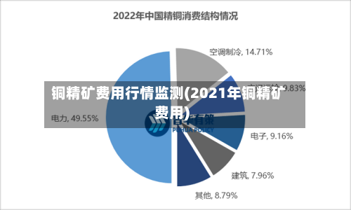 铜精矿费用行情监测(2021年铜精矿费用)