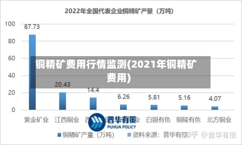 铜精矿费用行情监测(2021年铜精矿费用)-第2张图片