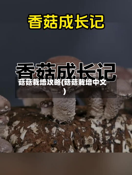 菇菇栽培攻略(菇菇栽培中文)