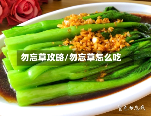 勿忘草攻略/勿忘草怎么吃-第2张图片