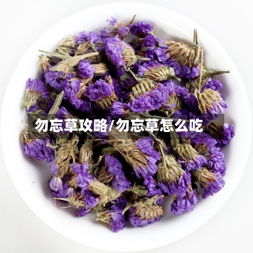 勿忘草攻略/勿忘草怎么吃-第3张图片