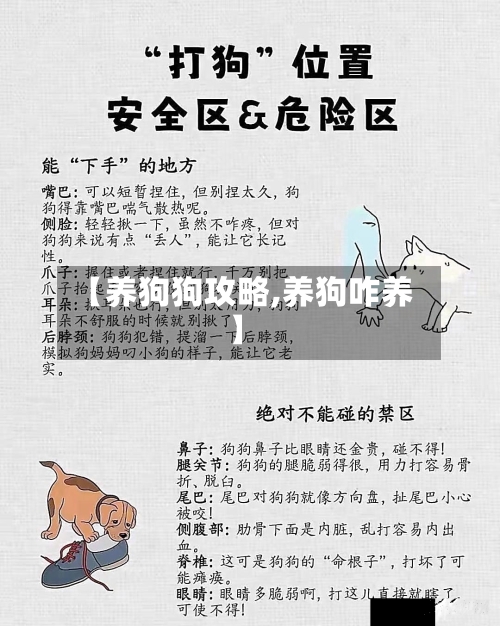 【养狗狗攻略,养狗咋养】-第2张图片