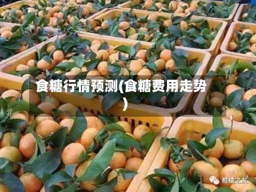 食糖行情预测(食糖费用走势)-第2张图片
