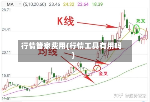 行情管家费用(行情工具有用吗)