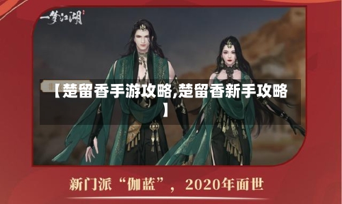【楚留香手游攻略,楚留香新手攻略】