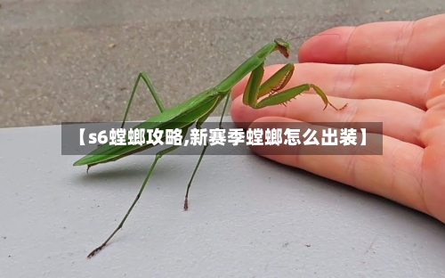 【s6螳螂攻略,新赛季螳螂怎么出装】-第2张图片