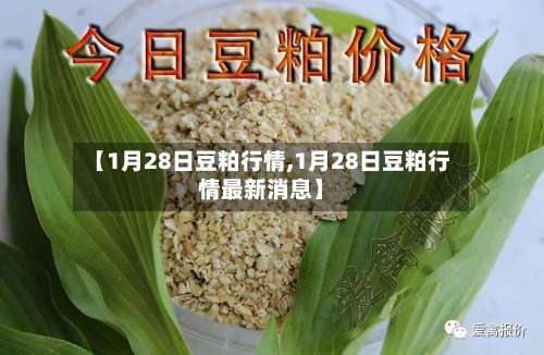 【1月28日豆粕行情,1月28日豆粕行情最新消息】