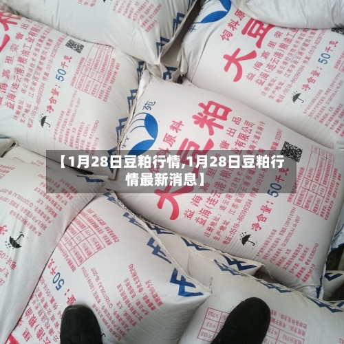 【1月28日豆粕行情,1月28日豆粕行情最新消息】-第2张图片