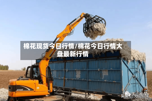 棉花现货今日行情/棉花今日行情大盘最新行情