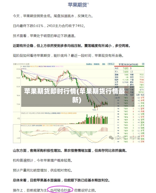 苹果期货即时行情(苹果期货行情最新)