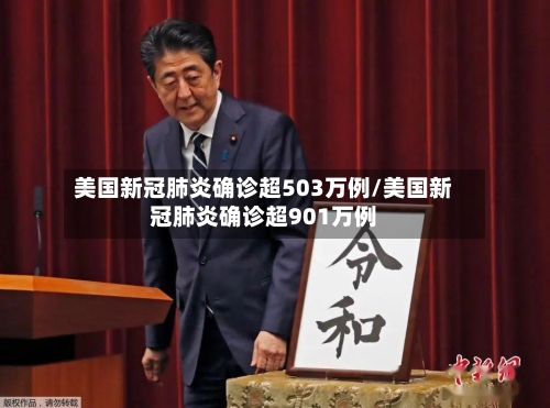 美国新冠肺炎确诊超503万例/美国新冠肺炎确诊超901万例-第2张图片