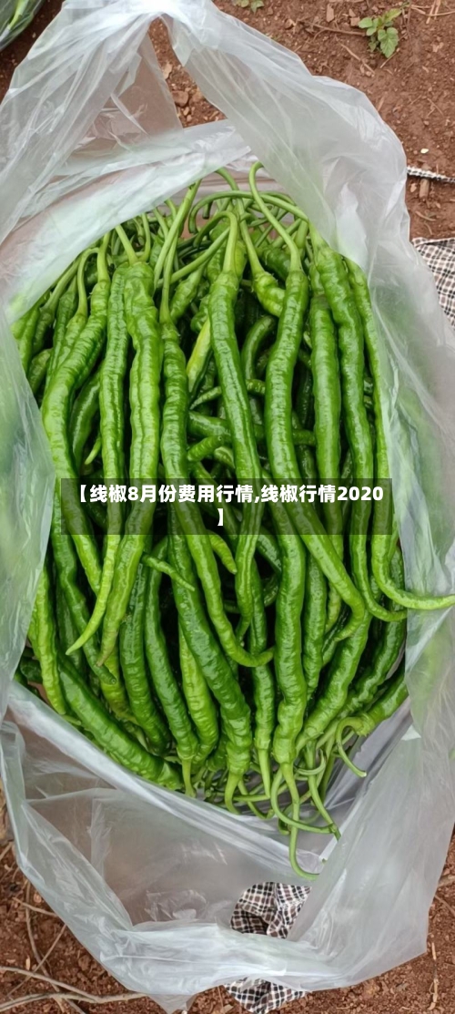 【线椒8月份费用行情,线椒行情2020】