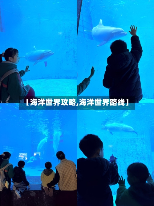 【海洋世界攻略,海洋世界路线】
