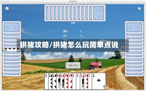 拱猪攻略/拱猪怎么玩简单点说-第3张图片